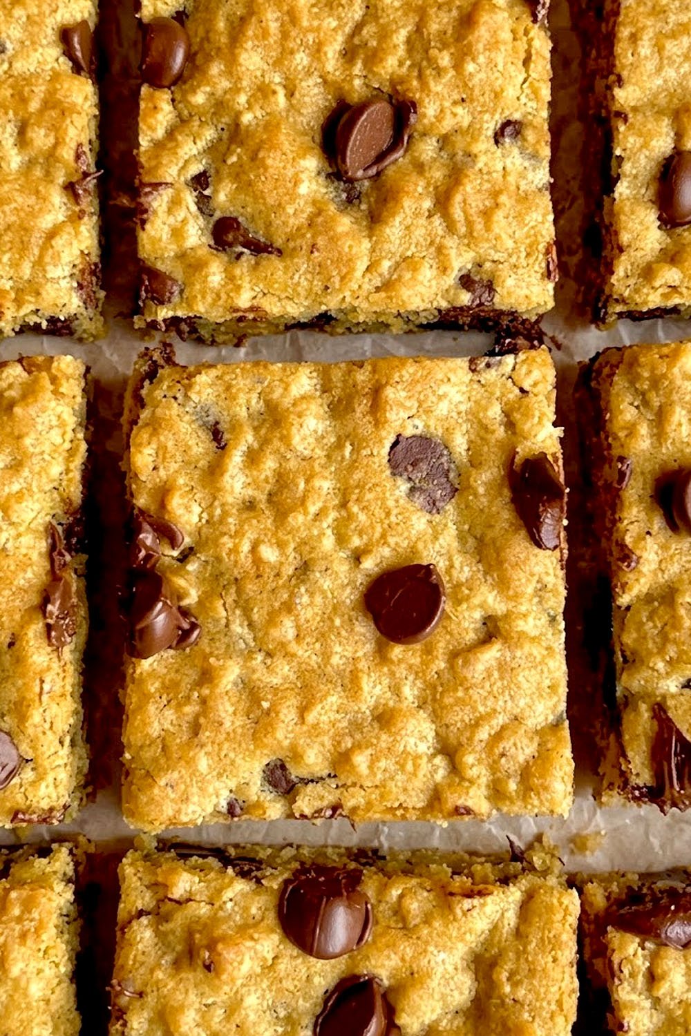Chocolate Chip Oatmeal Bar