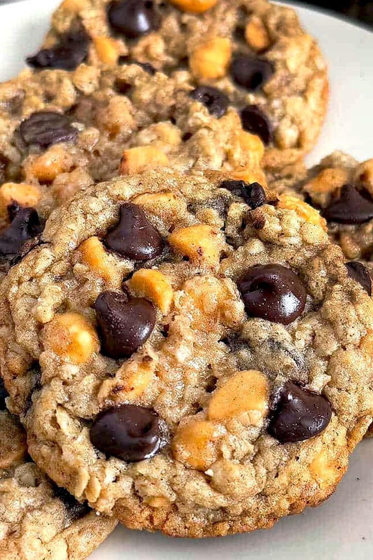 Soft Chewy Choco Chip Oatmeal Cookies