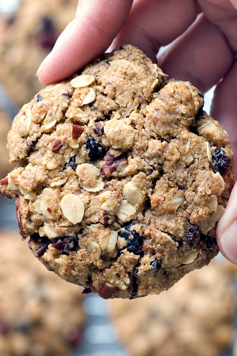 Gf Oatmeal Raisin Cookies Recipe